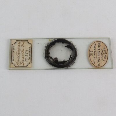 Voorwerpen adlib\20000\V22102-a.jpg; V22102; ;